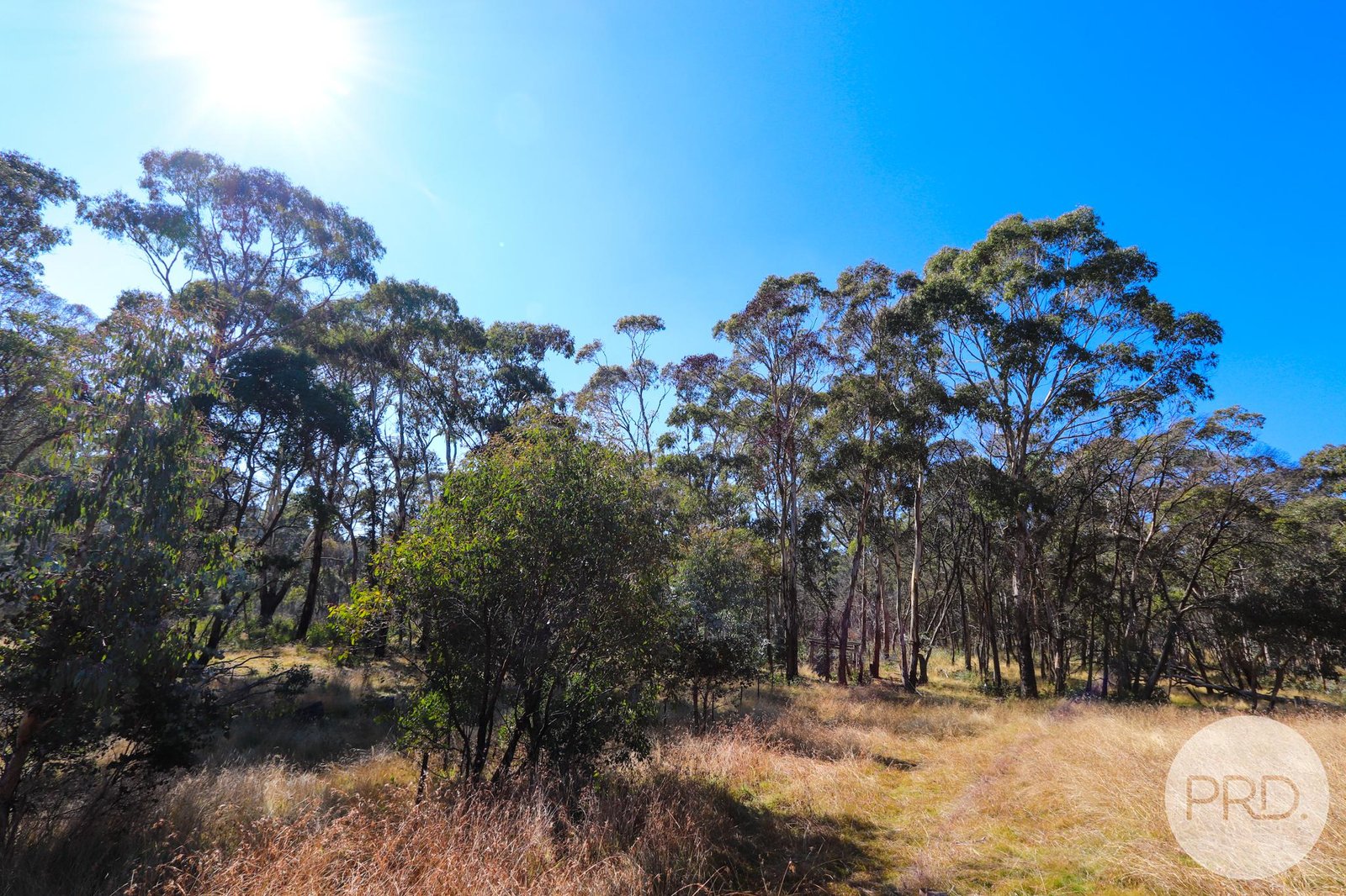 Lot 4 East Bago Powerline Road TUMBARUMBA 4