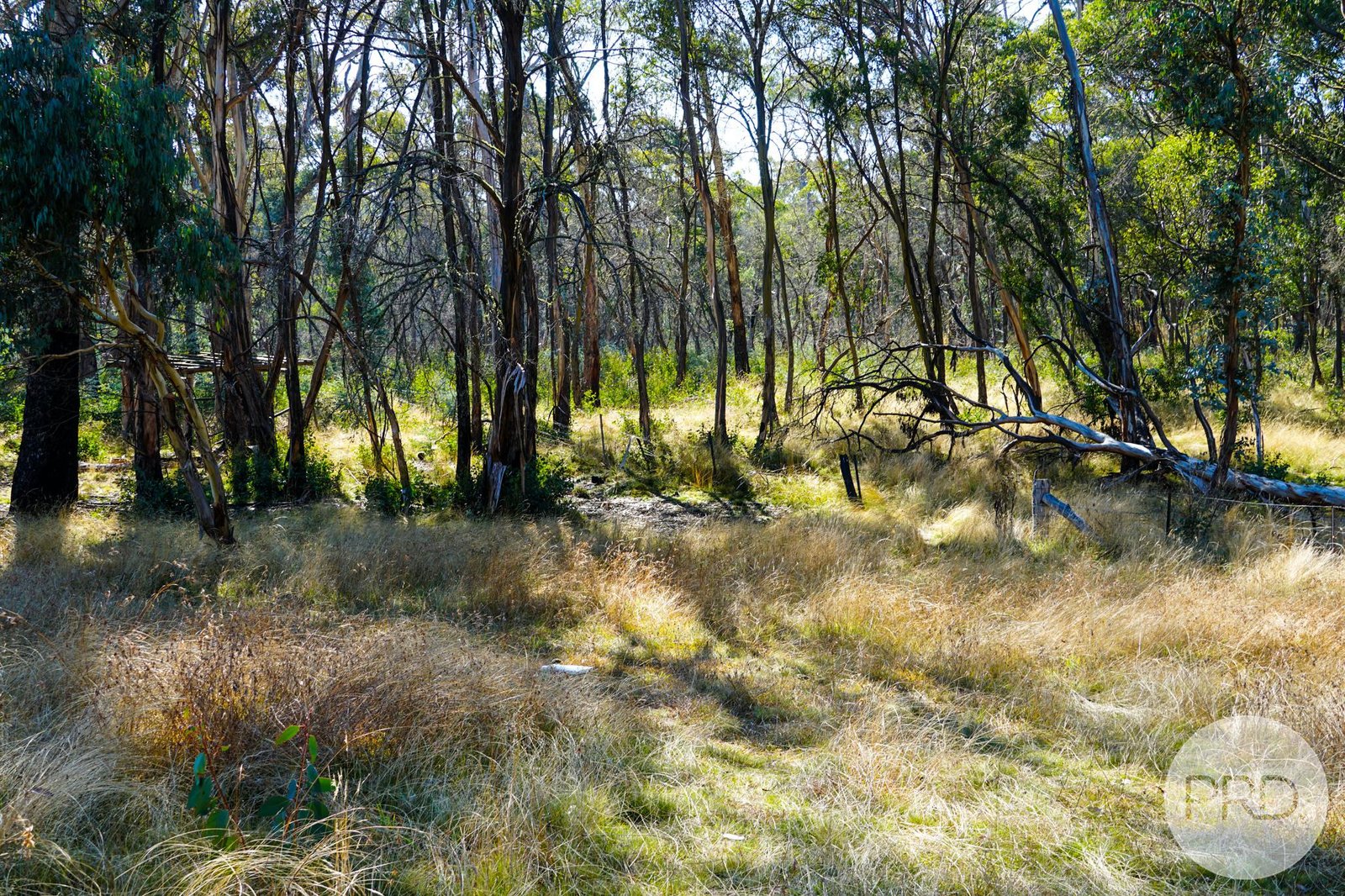 Lot 4 East Bago Powerline Road TUMBARUMBA 5