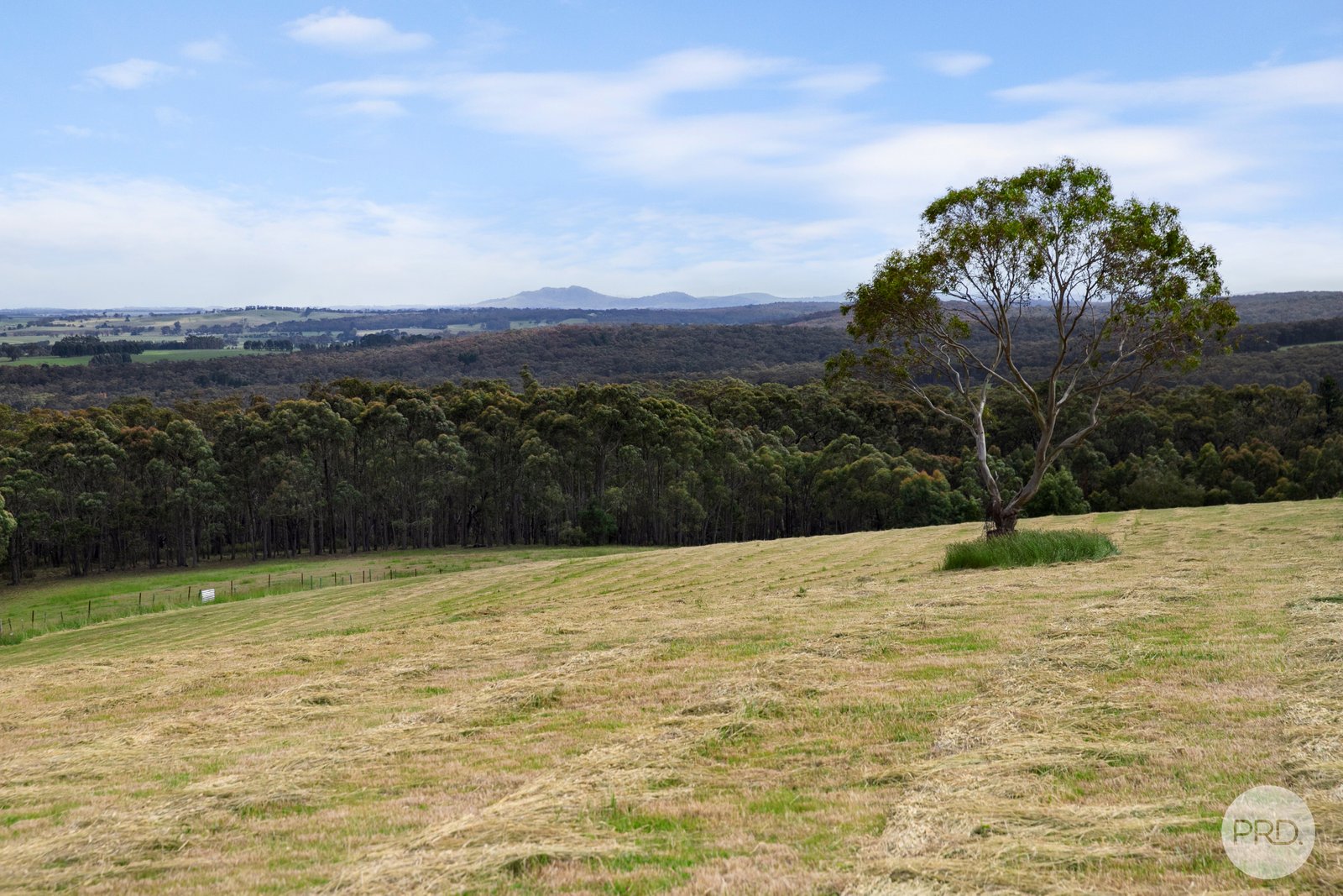 Lot 4 Flagstaff Ridge Road LINTON 4