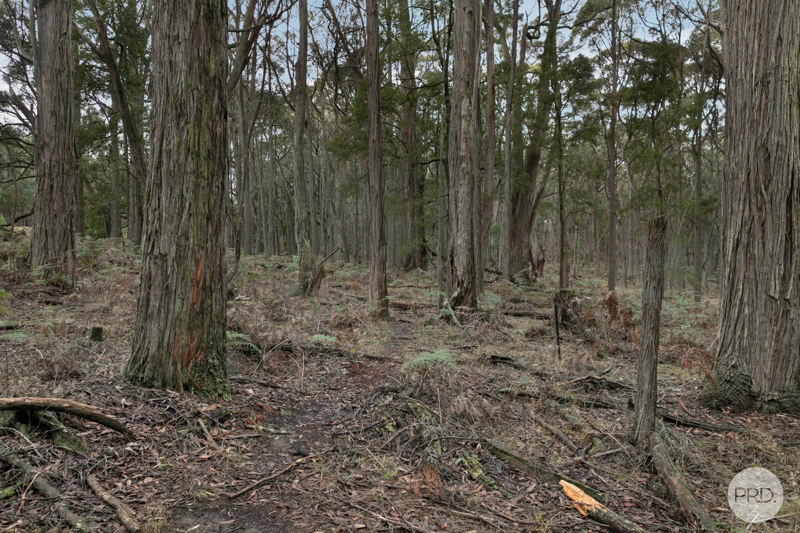 Lot 4 Haydens Hill Road GORDON 3