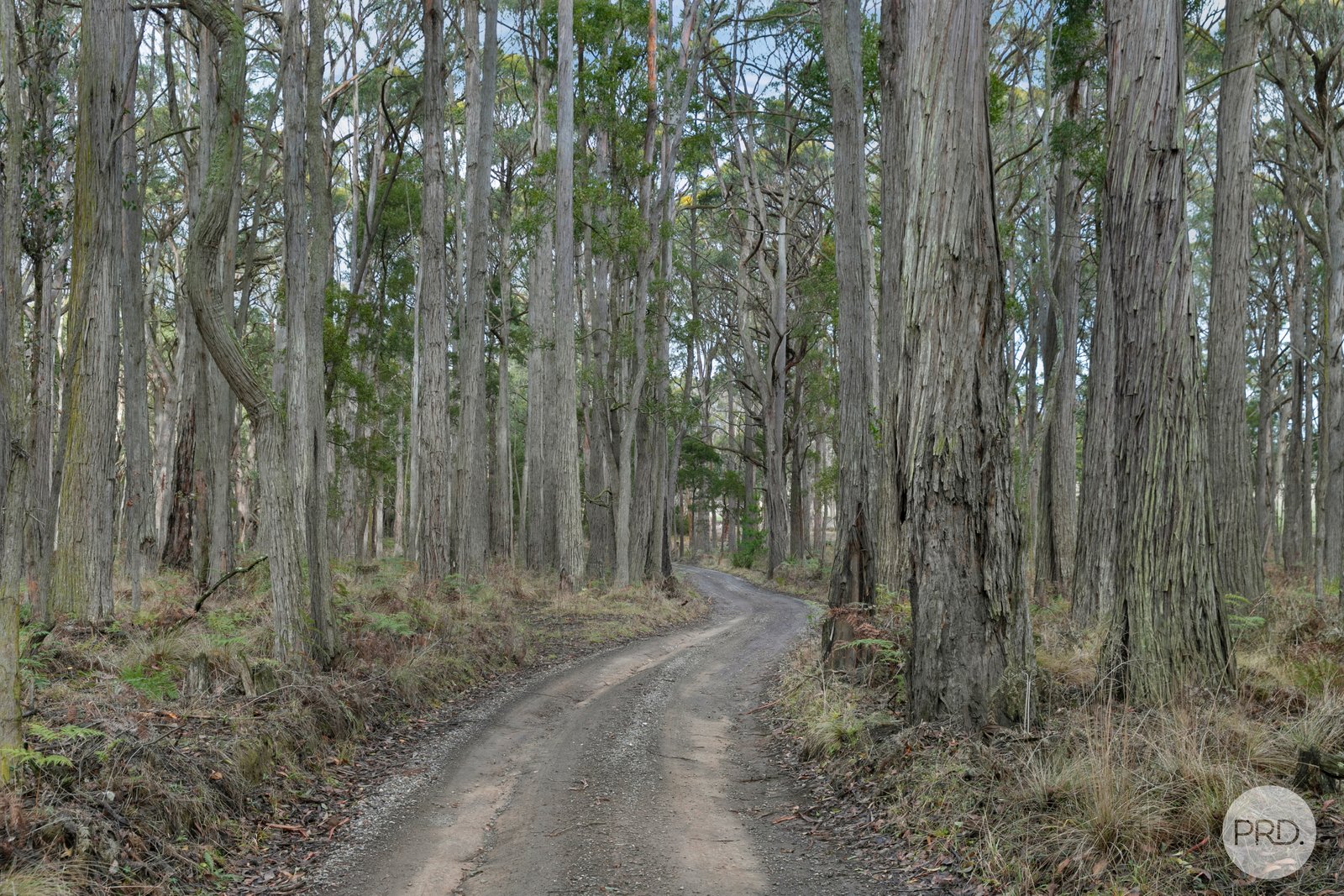 Lot 4 Haydens Hill Road GORDON 6