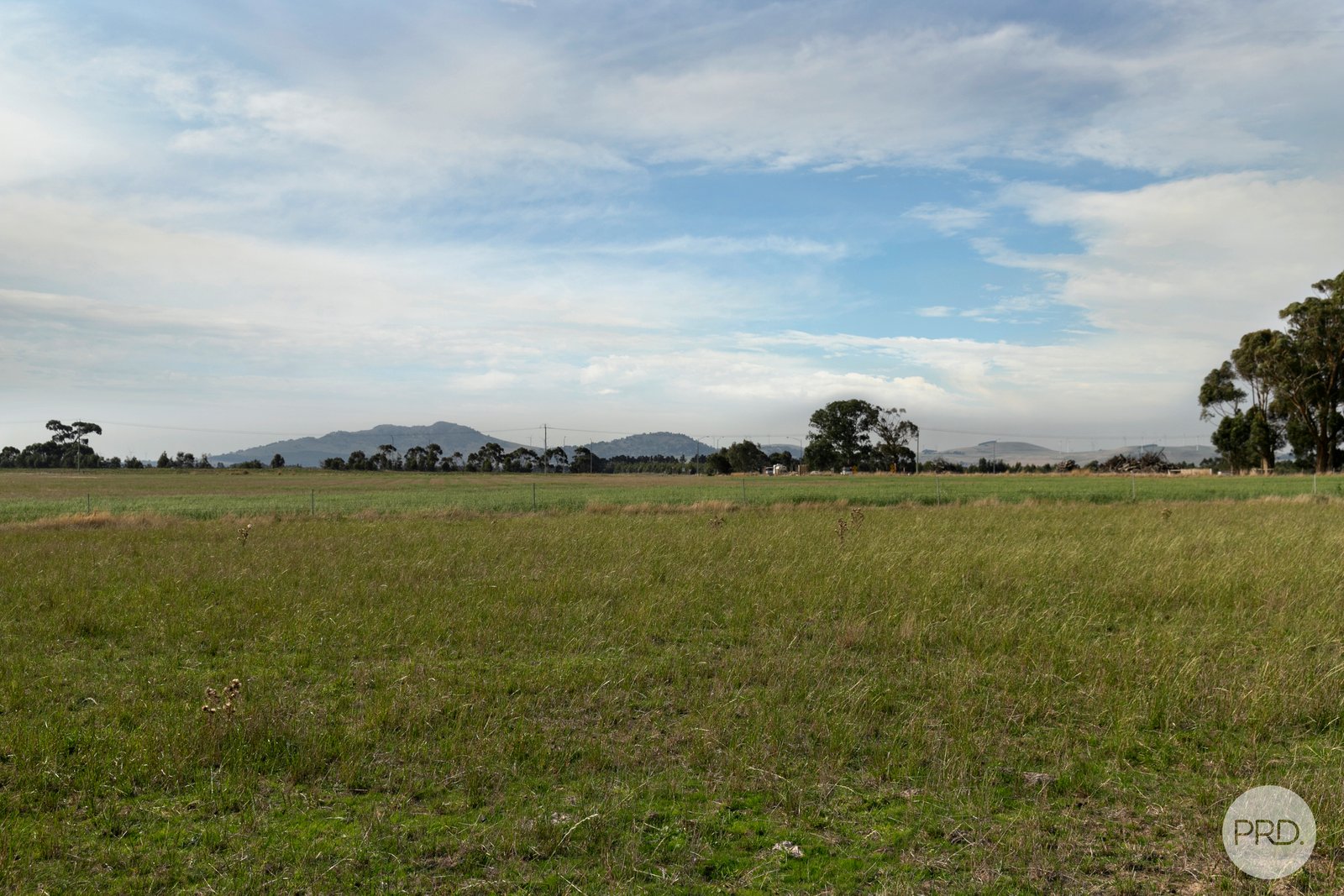  Modesty Lane BURRUMBEET 4