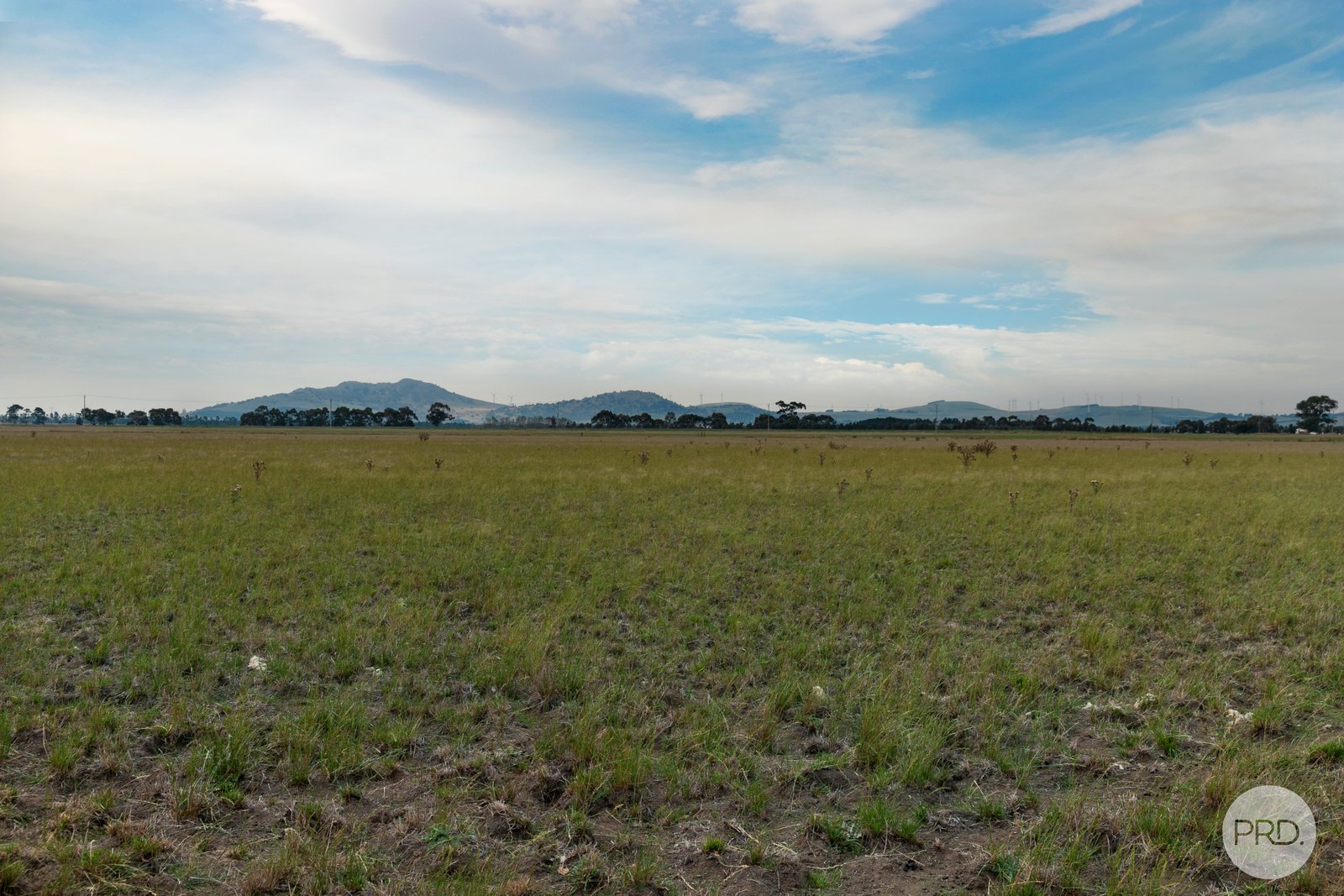  Modesty Lane BURRUMBEET 5