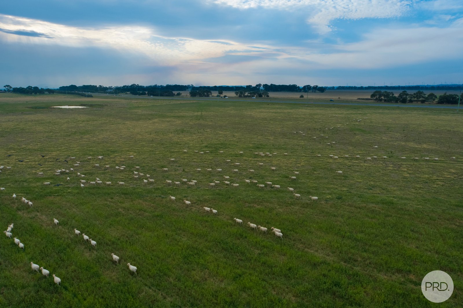  Modesty Lane BURRUMBEET 13