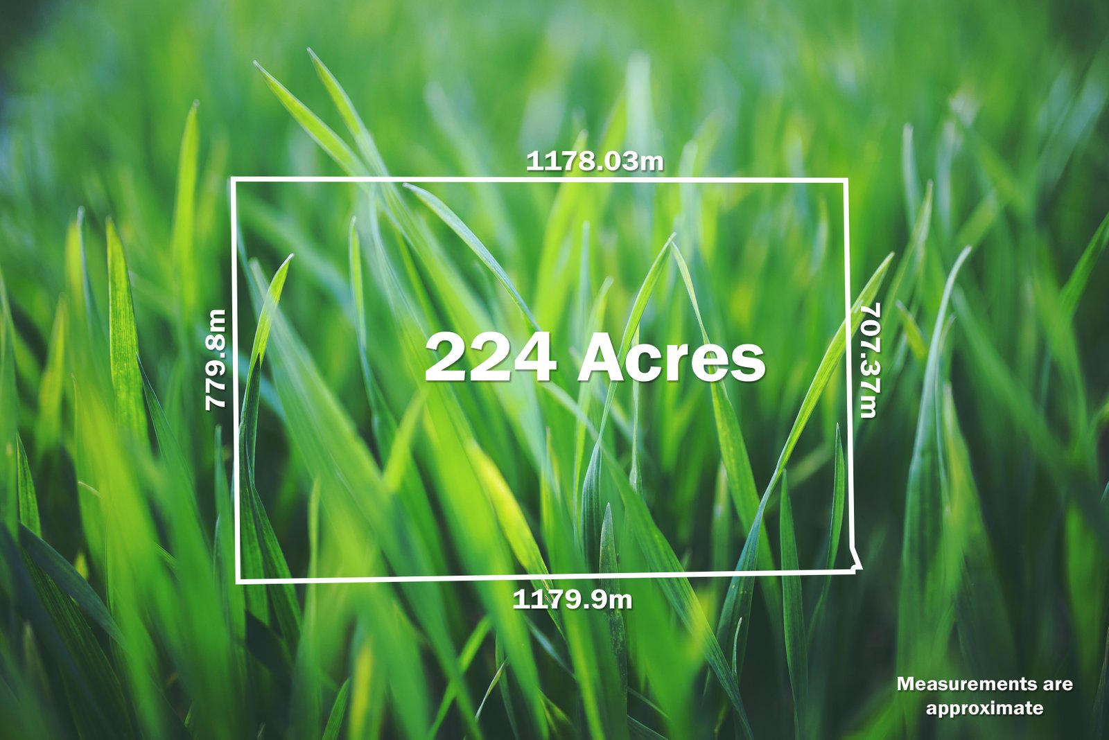  Modesty Lane BURRUMBEET 15