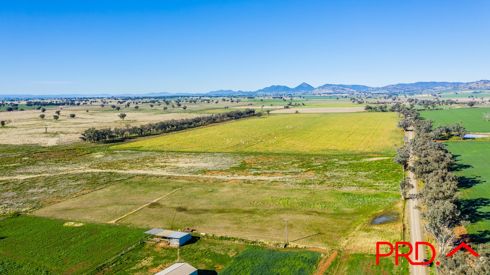 Lot 4 Ridds Lane TAMWORTH 5