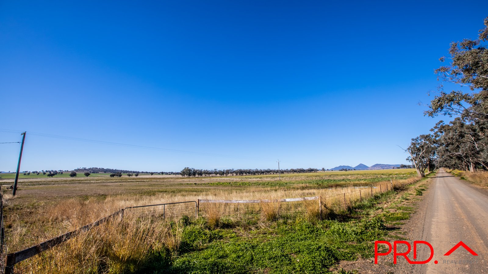 Lot 4 Ridds Lane TAMWORTH 14