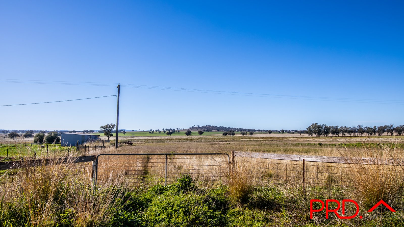 Lot 4 Ridds Lane TAMWORTH 15