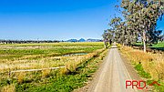 Lot 4 Ridds Lane TAMWORTH 20
