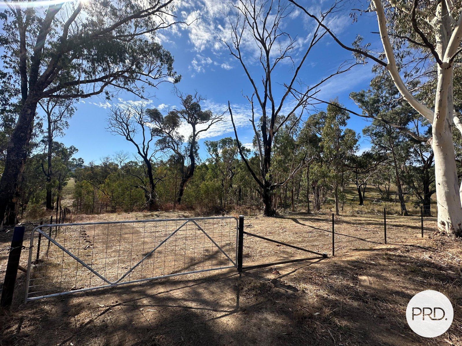 Lot 4 Tooma Road TUMBARUMBA 1