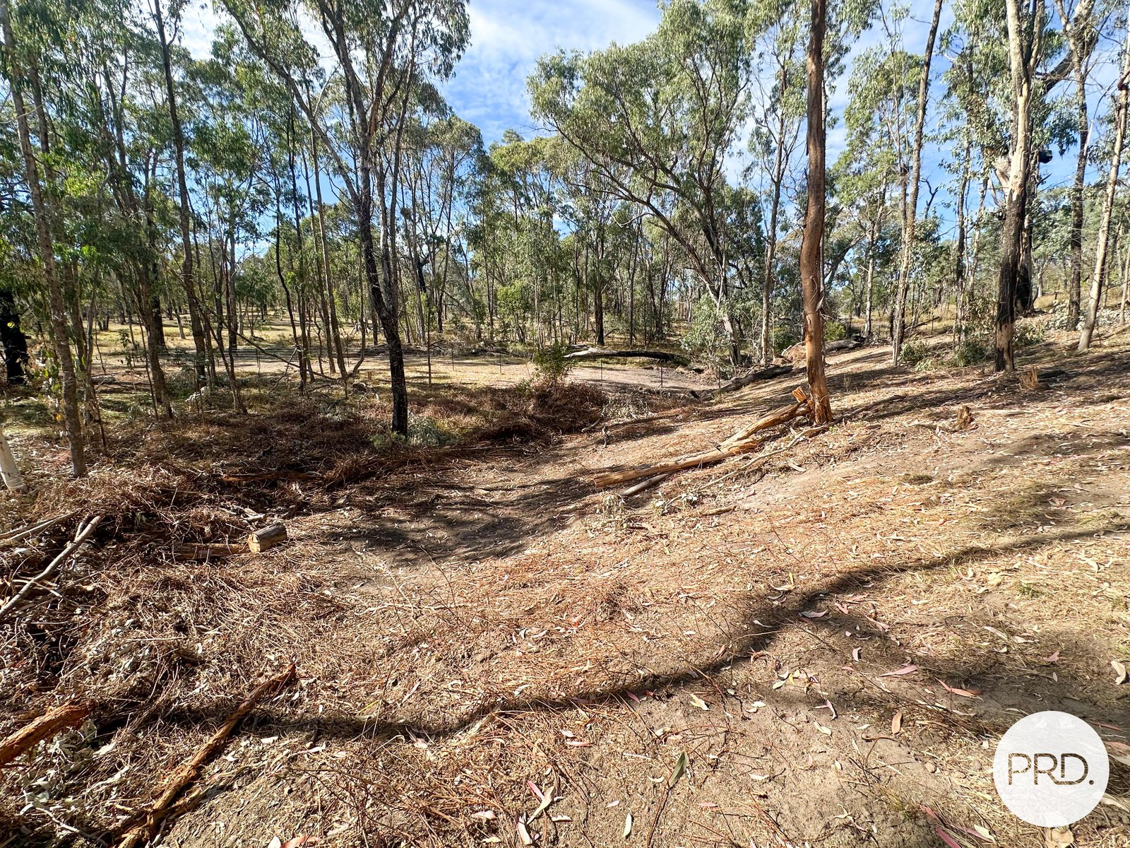 Lot 4 Tooma Road TUMBARUMBA 4