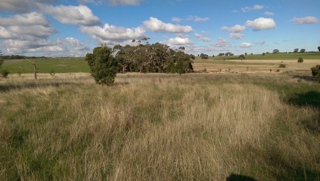 Lot 41 Derwent Jacks Road BERRINGA 3