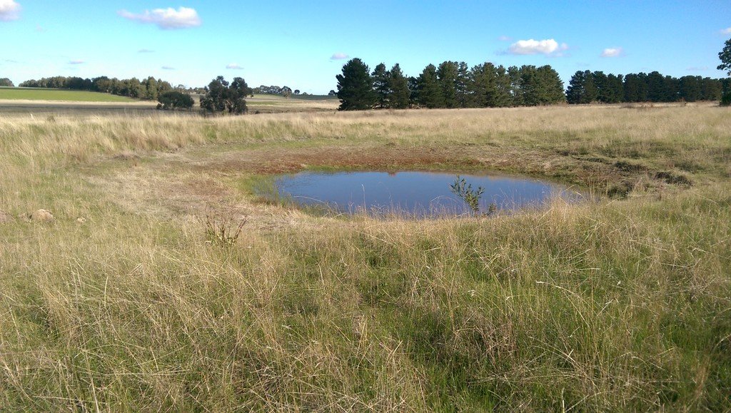 Lot 41 Derwent Jacks Road BERRINGA 4