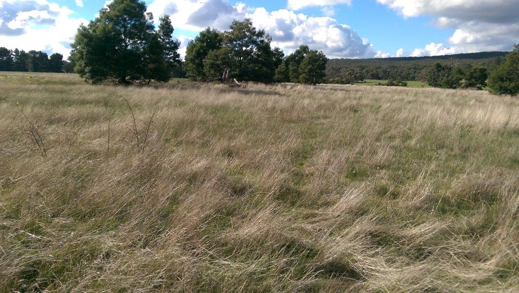 Lot 41 Derwent Jacks Road BERRINGA 5