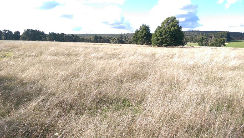 Lot 41 Derwent Jacks Road BERRINGA 7