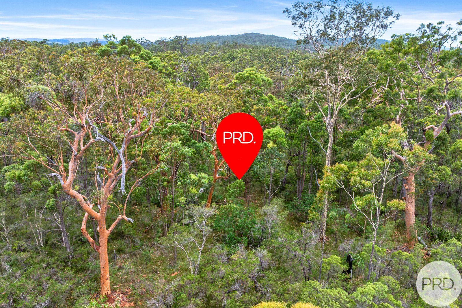 Lot 42 Tenterfield Road NORTH ARM COVE 4