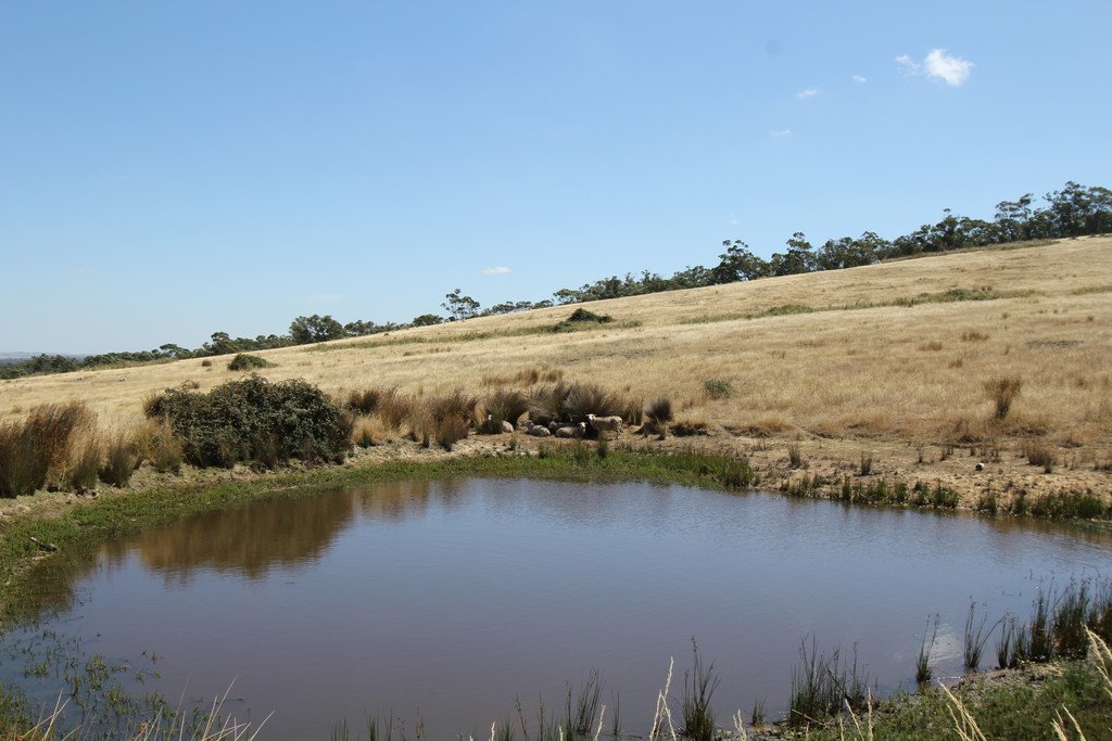 Lot 4G Derwent Jacks Road BERRINGA 3
