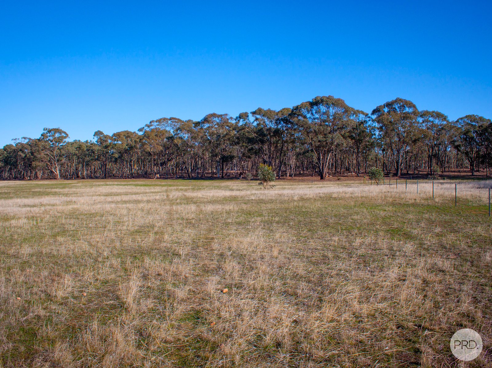177 Bassett Road SEBASTIAN 2