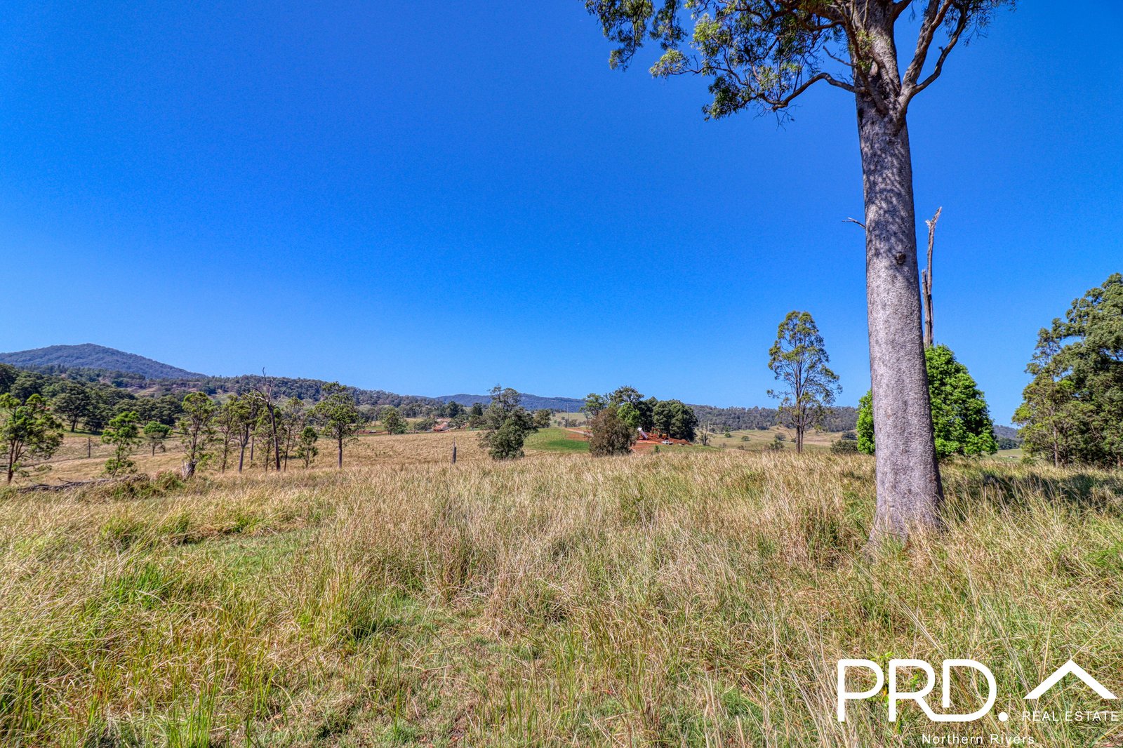180 Runnymede Road KYOGLE 27