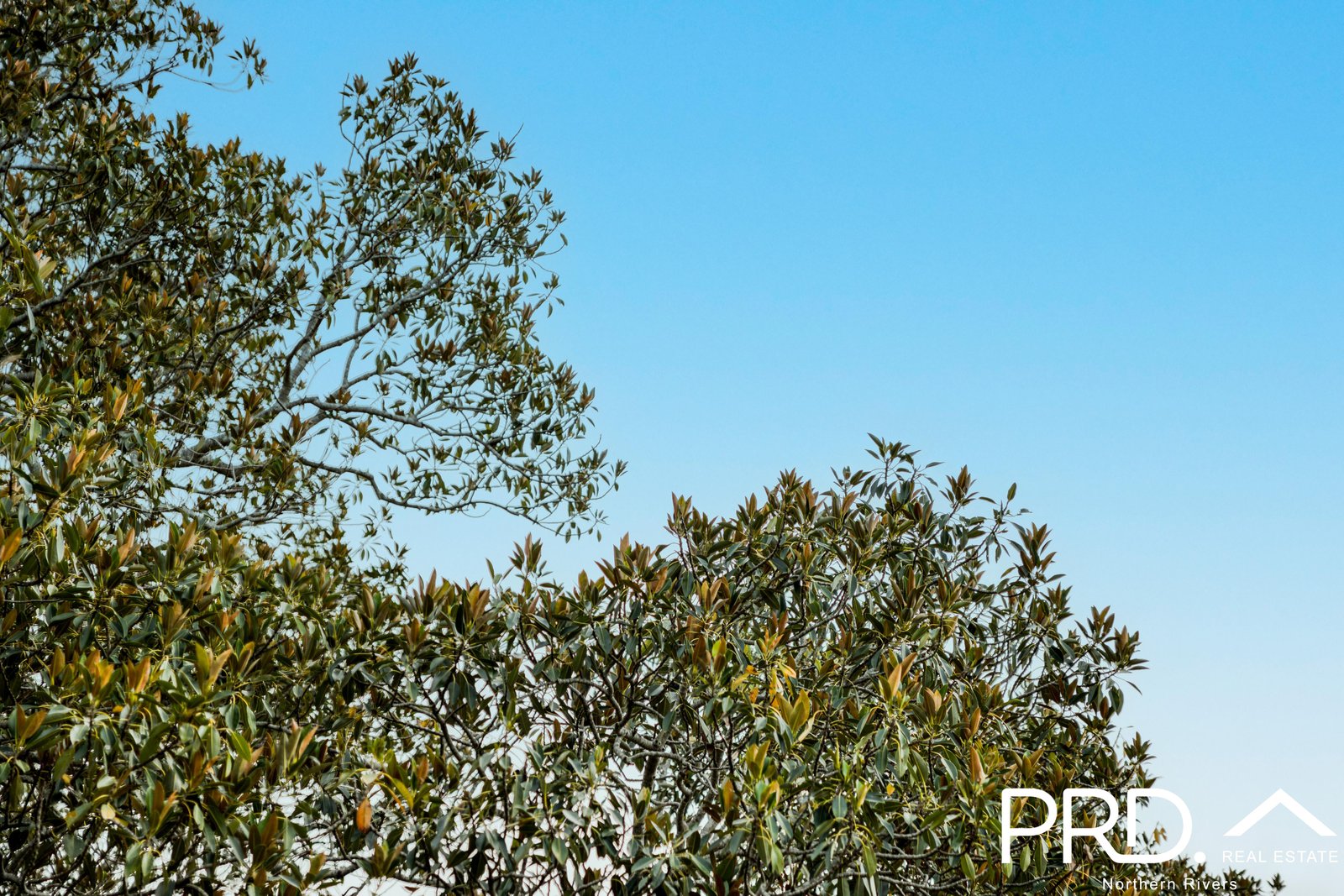 180 Runnymede Road KYOGLE 35