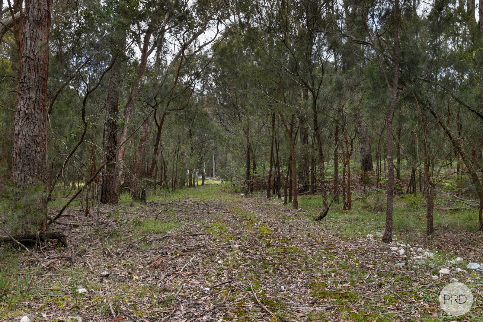  Blackfellows Lane HILLCREST 1