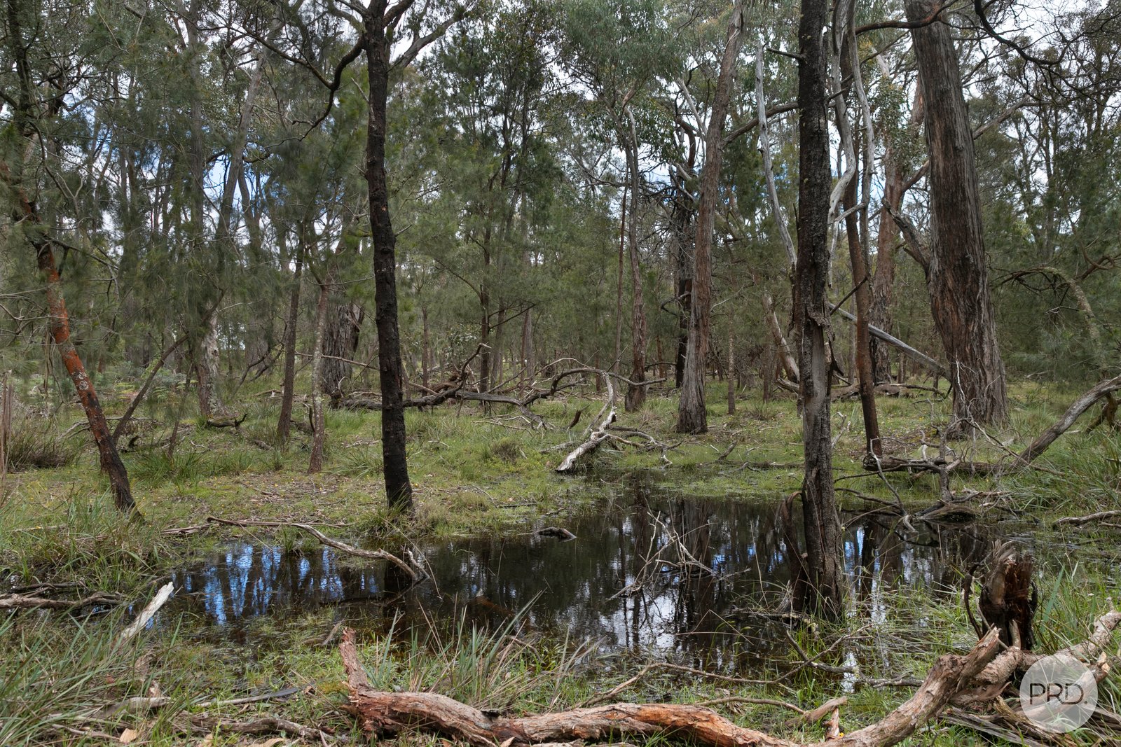  Blackfellows Lane HILLCREST 3