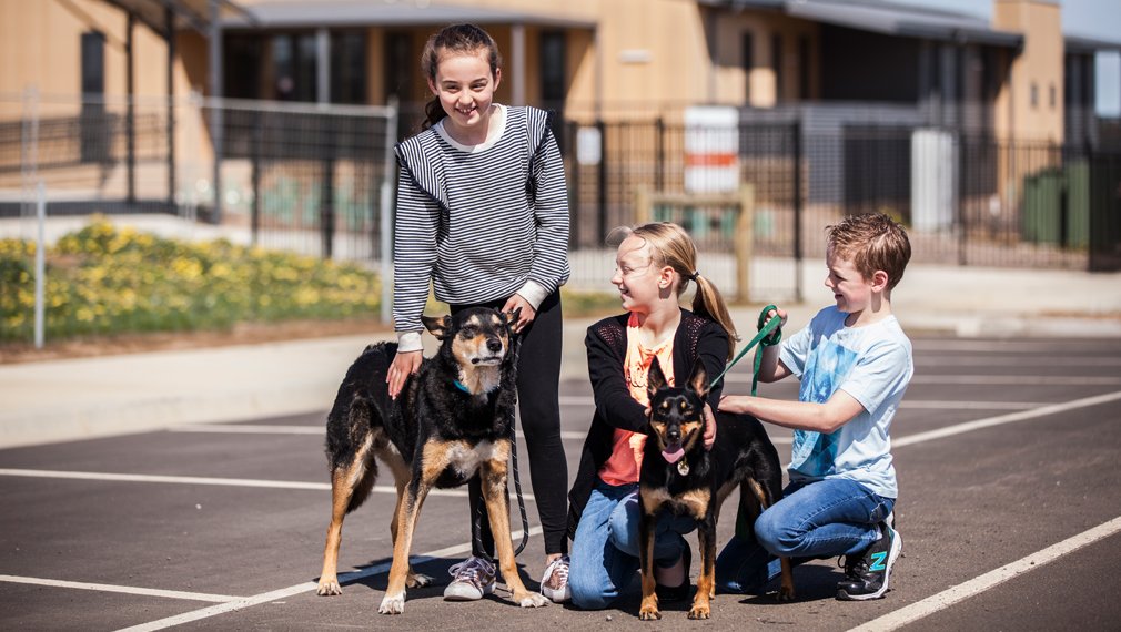 Lot 5 Cuthberts Road ALFREDTON 6