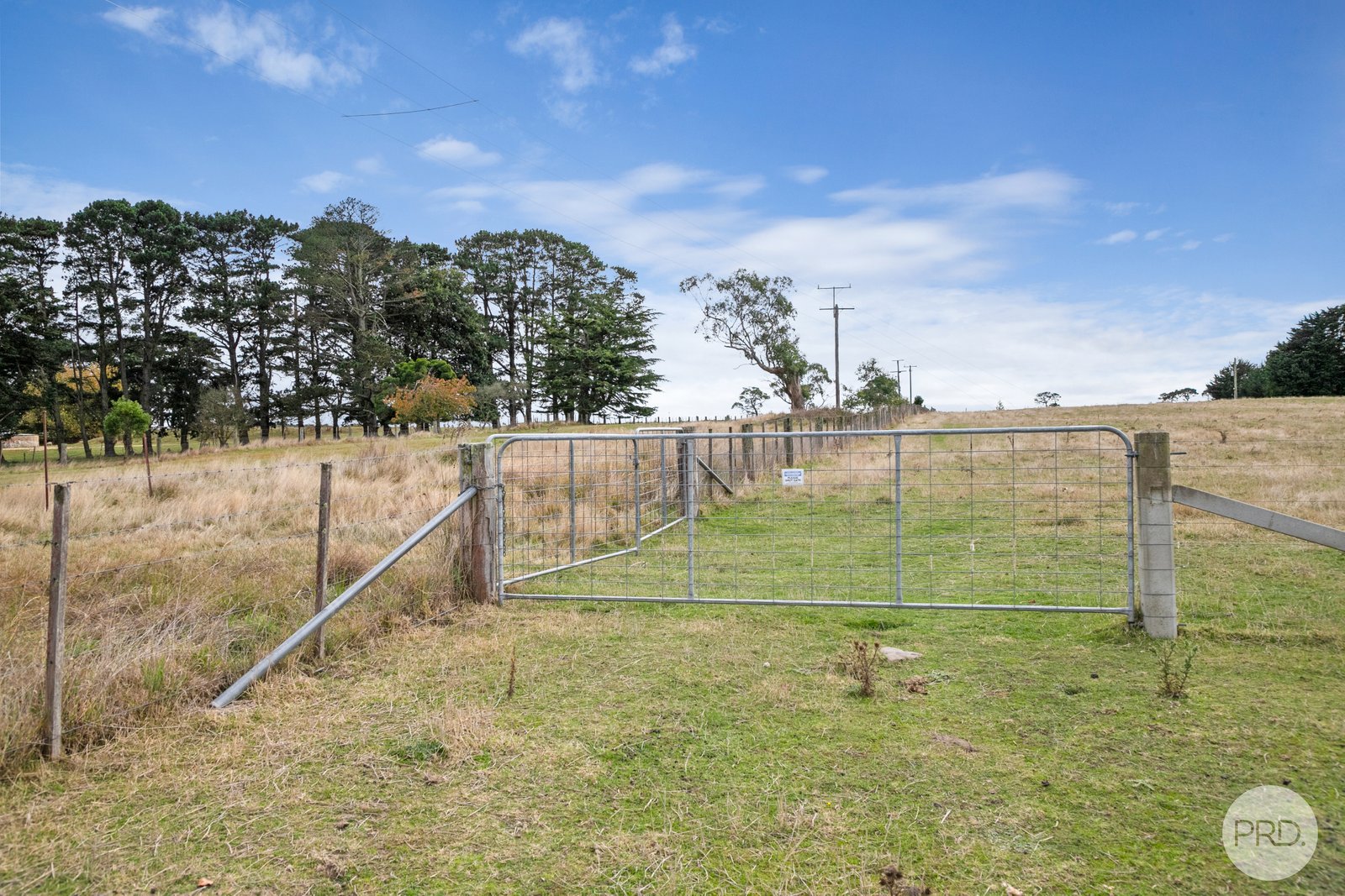  Dehnerts Road BUNDING 4