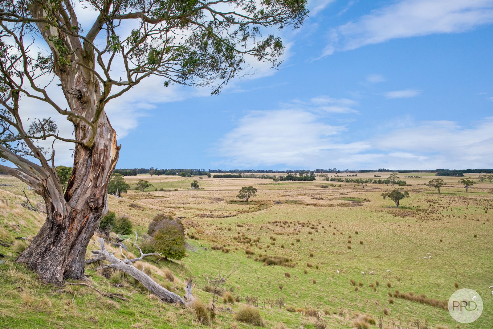  Dehnerts Road BUNDING 9