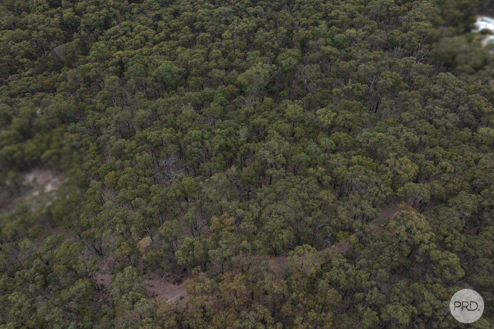 Lot 5 Haighs Lane SNAKE VALLEY 3