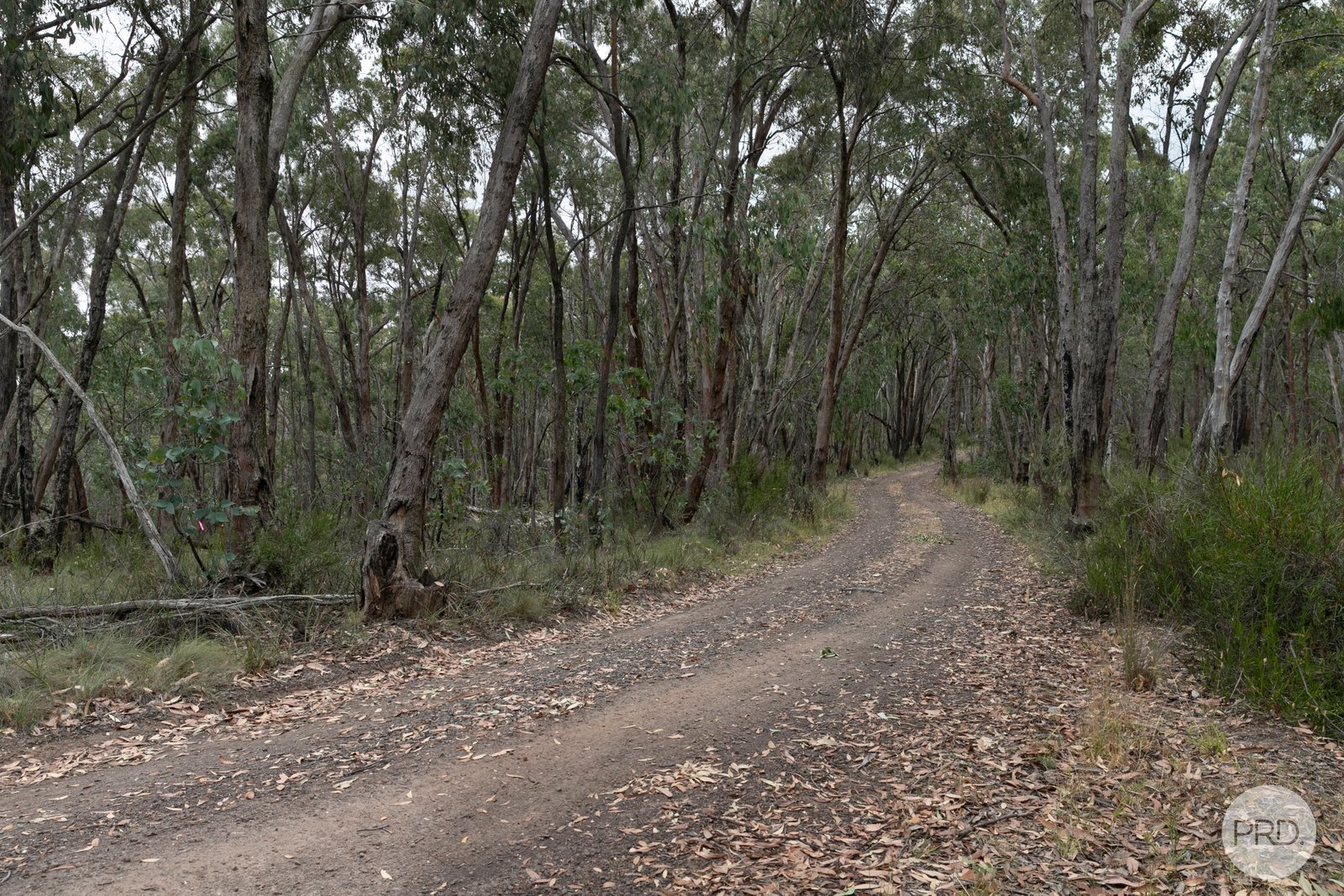 Lot 5 Haighs Lane SNAKE VALLEY 4