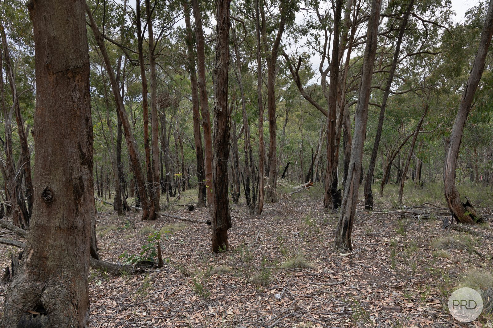 Lot 5 Haighs Lane SNAKE VALLEY 7