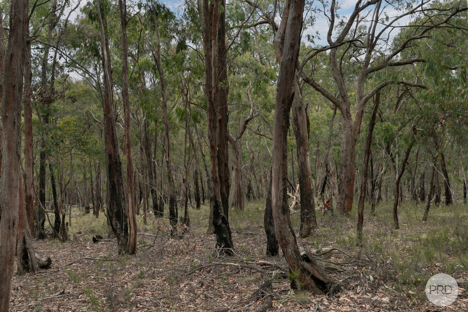 Lot 5 Haighs Lane SNAKE VALLEY 8