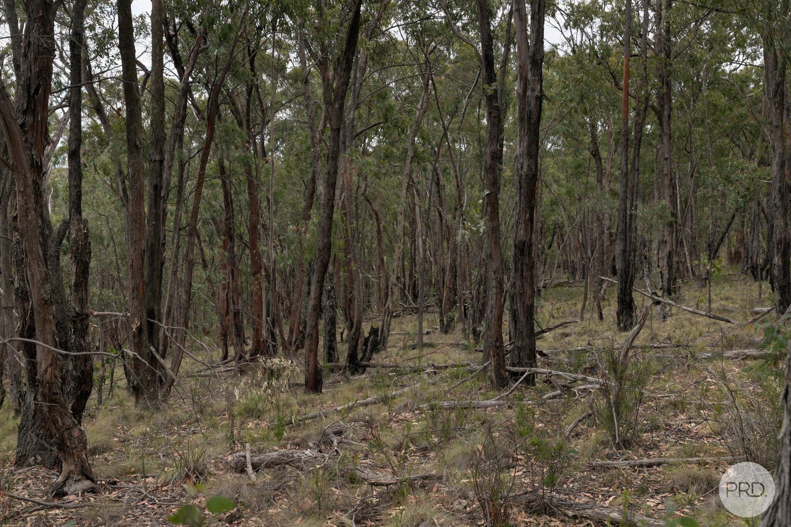 Lot 5 Haighs Lane SNAKE VALLEY 9