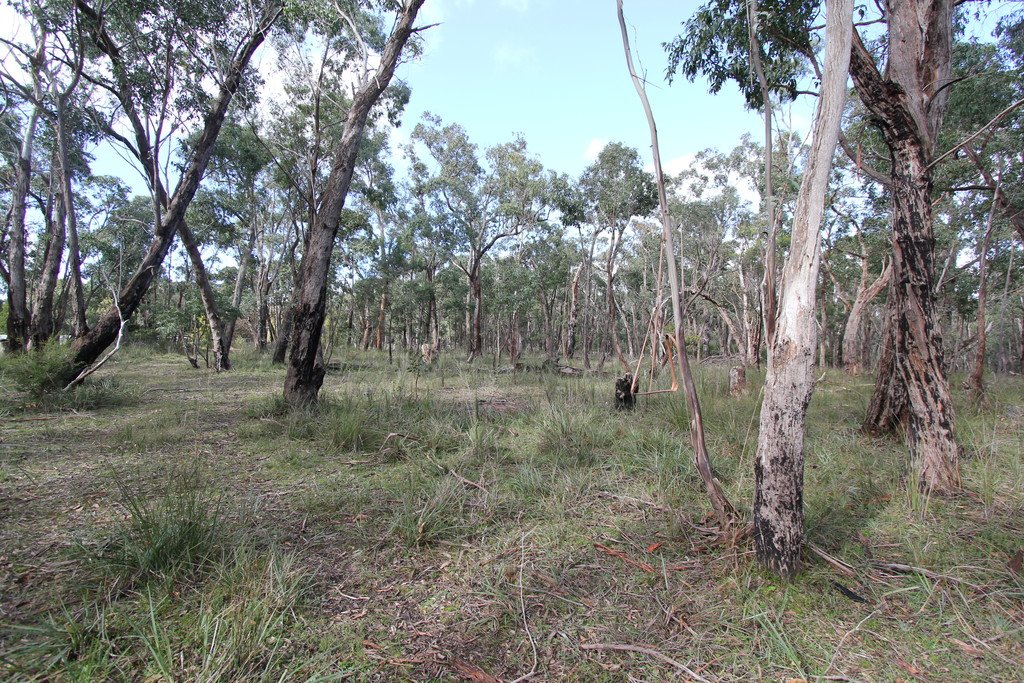 Lot 5 Rozenstein Road DEREEL 3