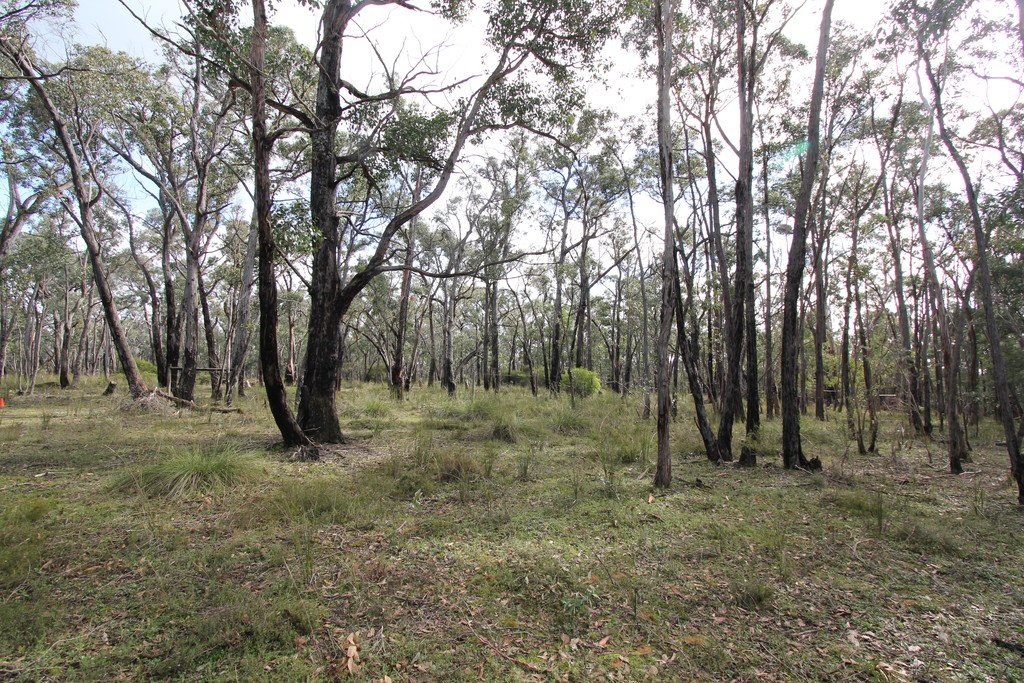 Lot 5 Rozenstein Road DEREEL 5