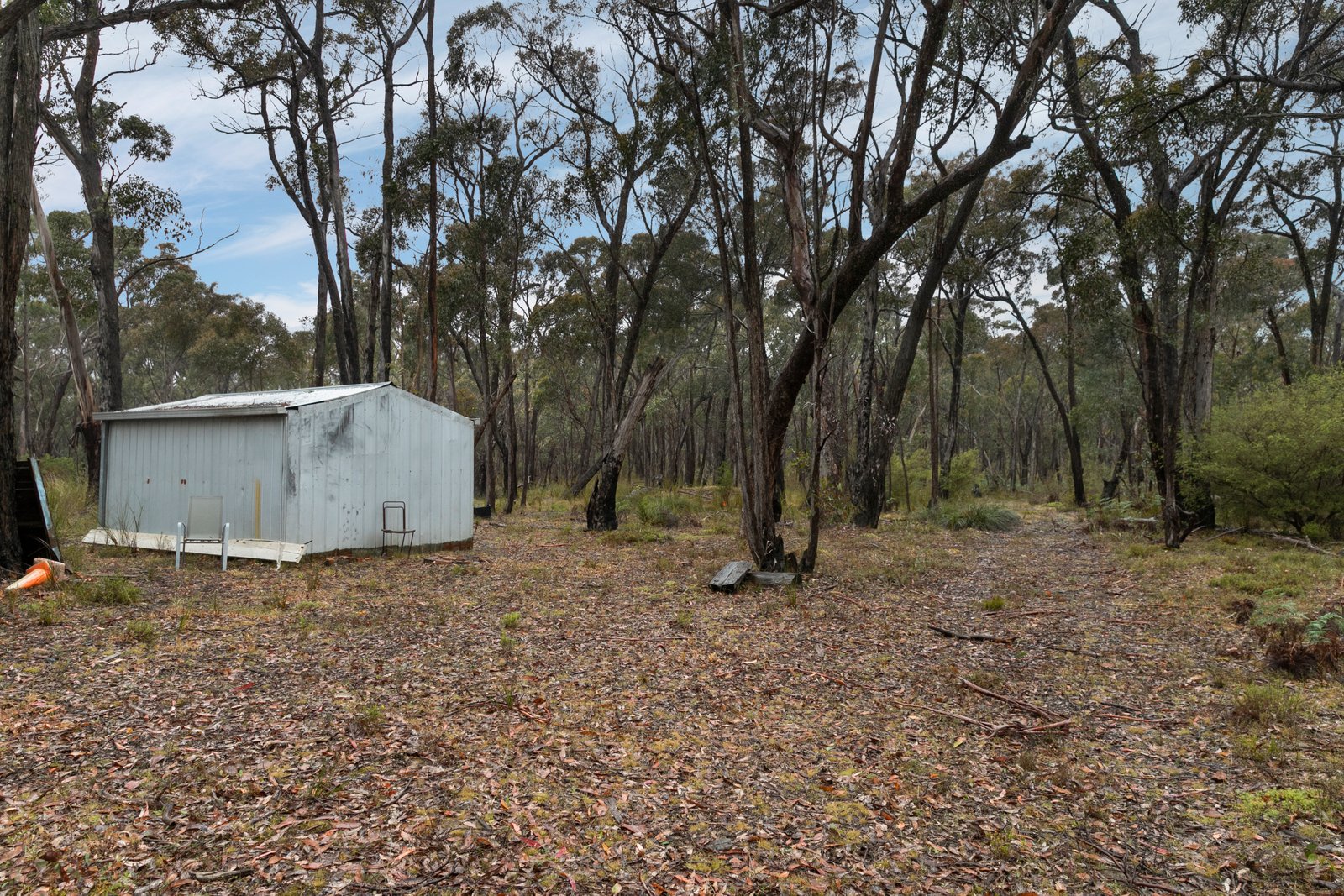 Rozenstein Road DEREEL 3