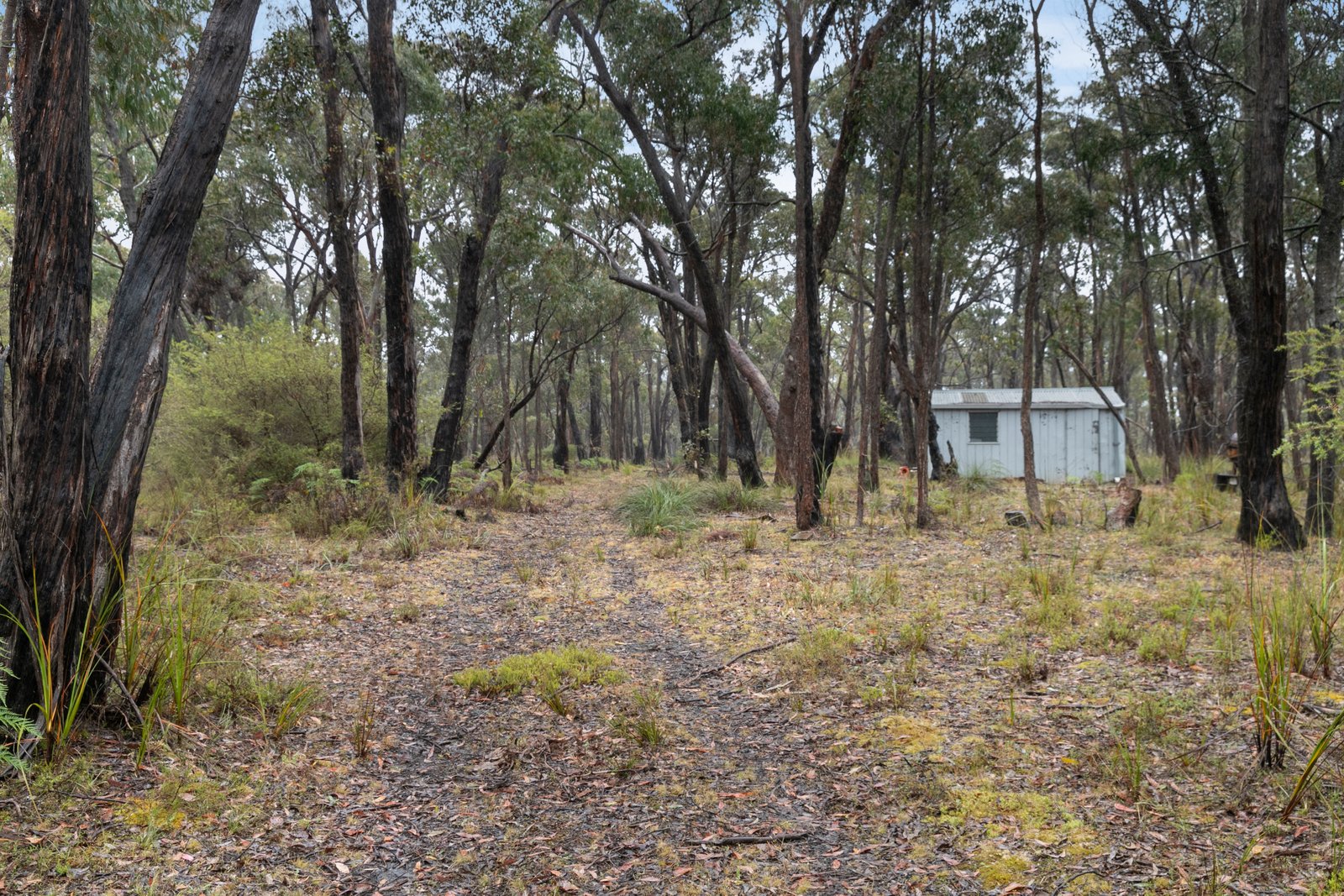 Rozenstein Road DEREEL 4