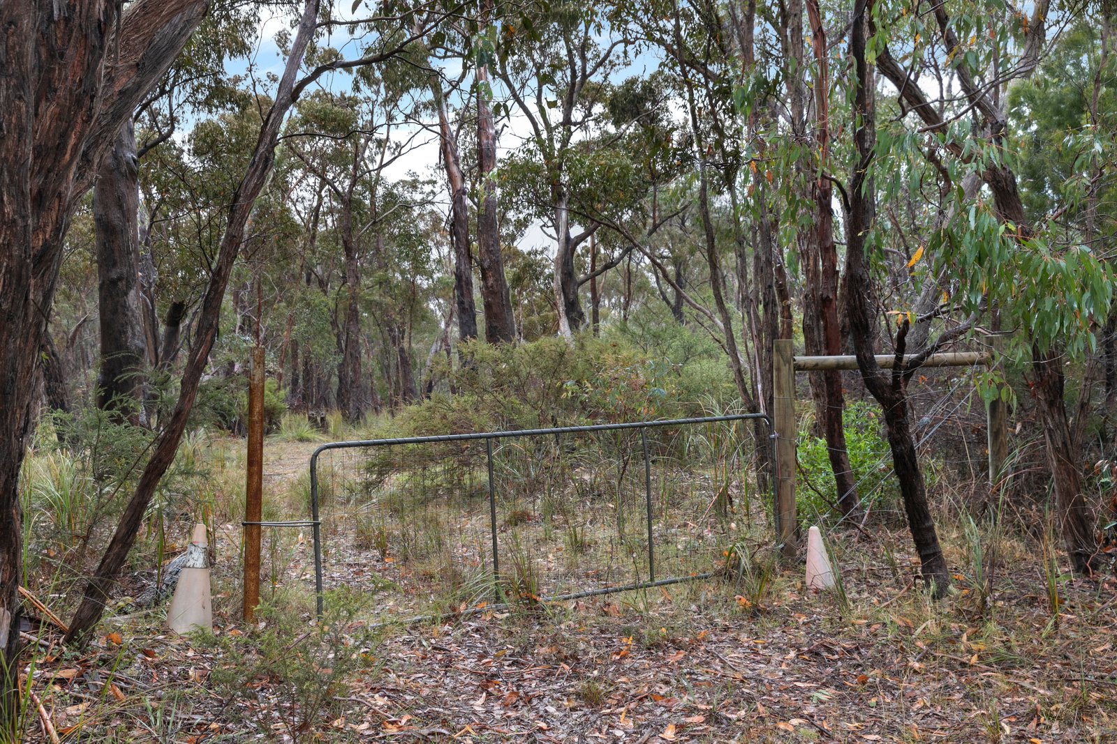 Rozenstein Road DEREEL 6