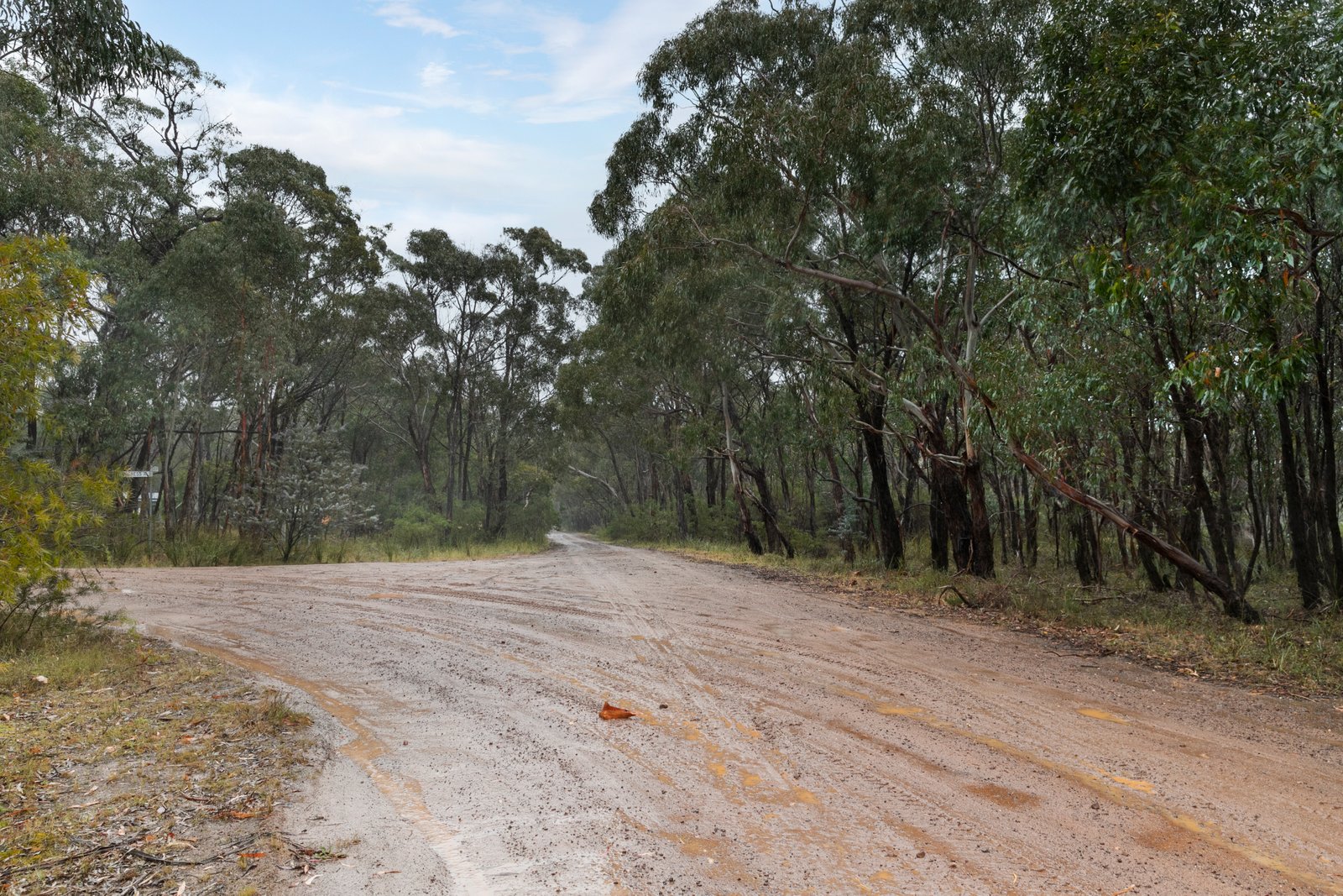 Rozenstein Road DEREEL 7