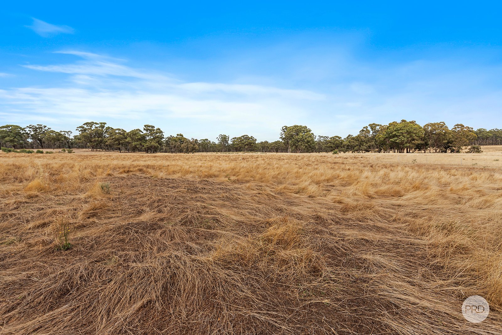 Lot 5 Squatters Court EPPALOCK 6