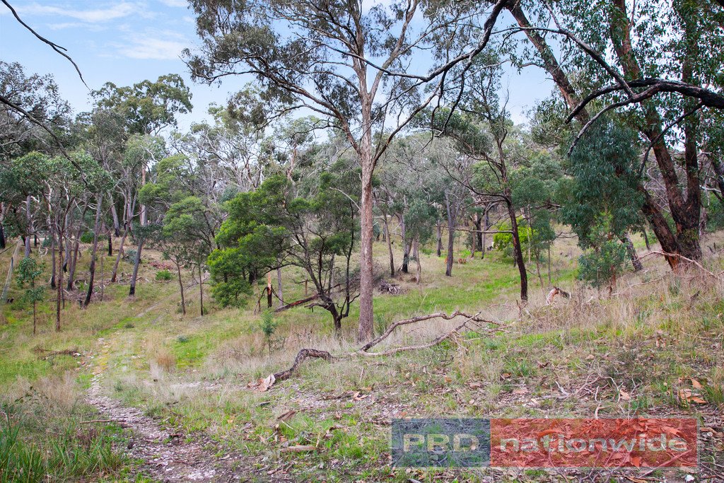 Lot 5 Station Lane CARNGHAM 3