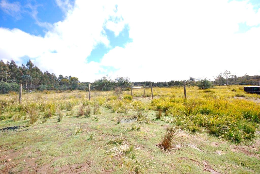 Lot 5 Victoria Valley Road VICTORIA VALLEY 5