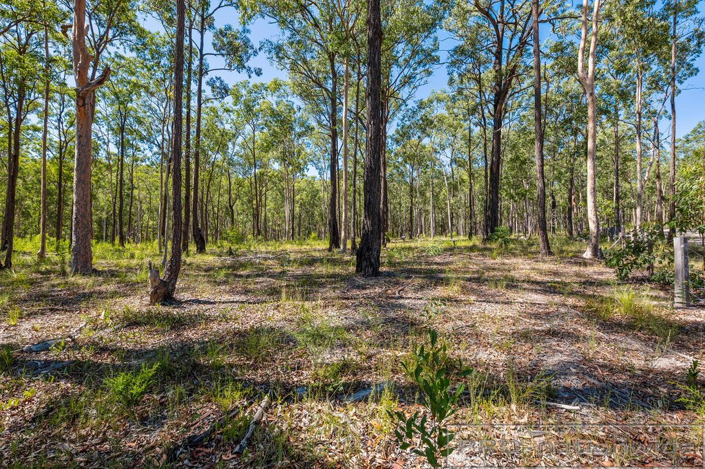 Lot 50 Timbertop Road GLEN OAK 11