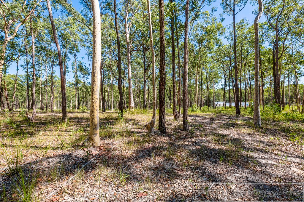 Lot 50 Timbertop Road GLEN OAK 14