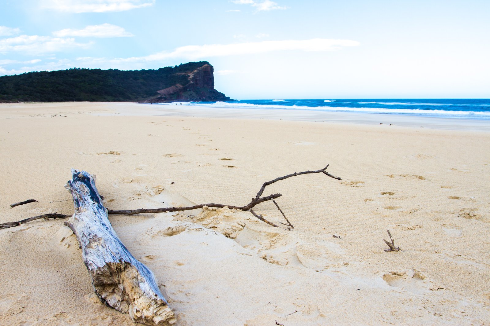 Lot 514 Prince of Wales Drive DUNBOGAN 8