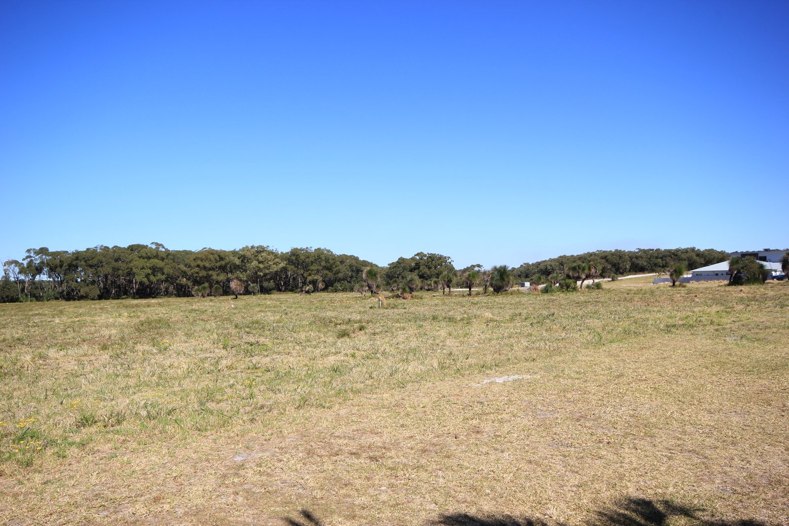 Stage 5 First Fleet Estate  DUNBOGAN 12