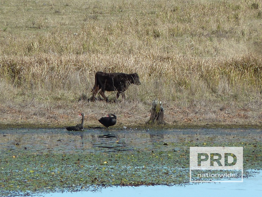 Lot 59 Summerland Way RAPPVILLE 5