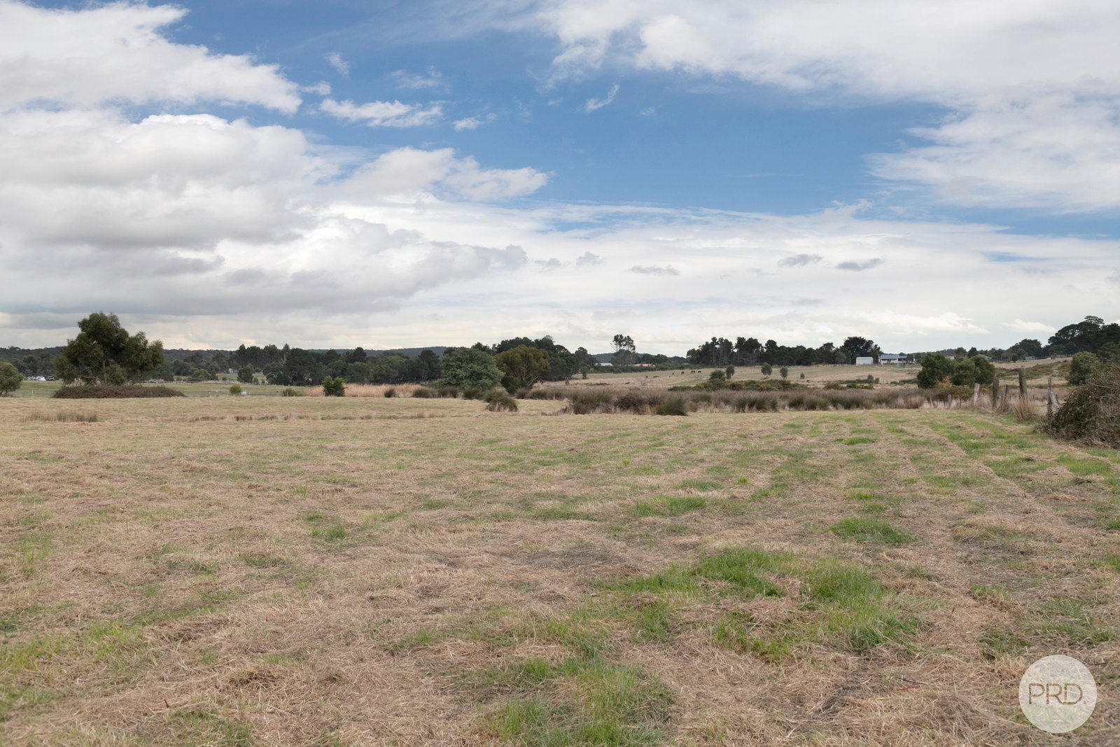  Carey's Road SCARSDALE 3