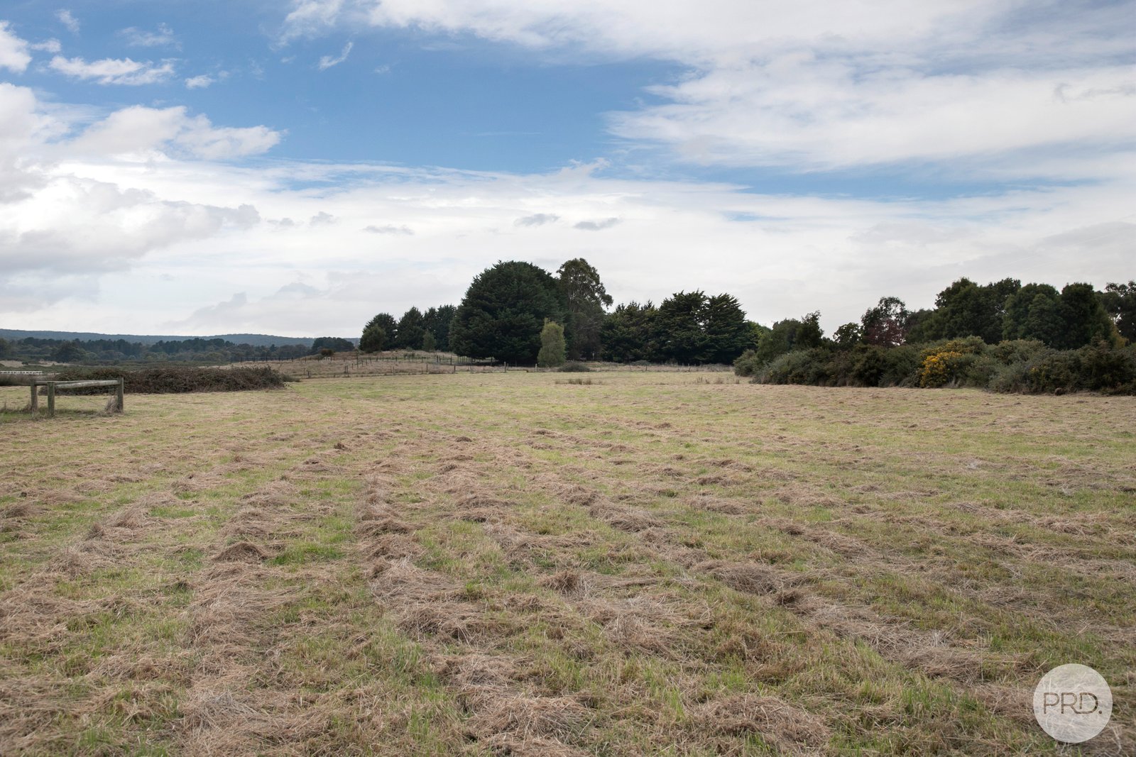  Carey's Road SCARSDALE 5